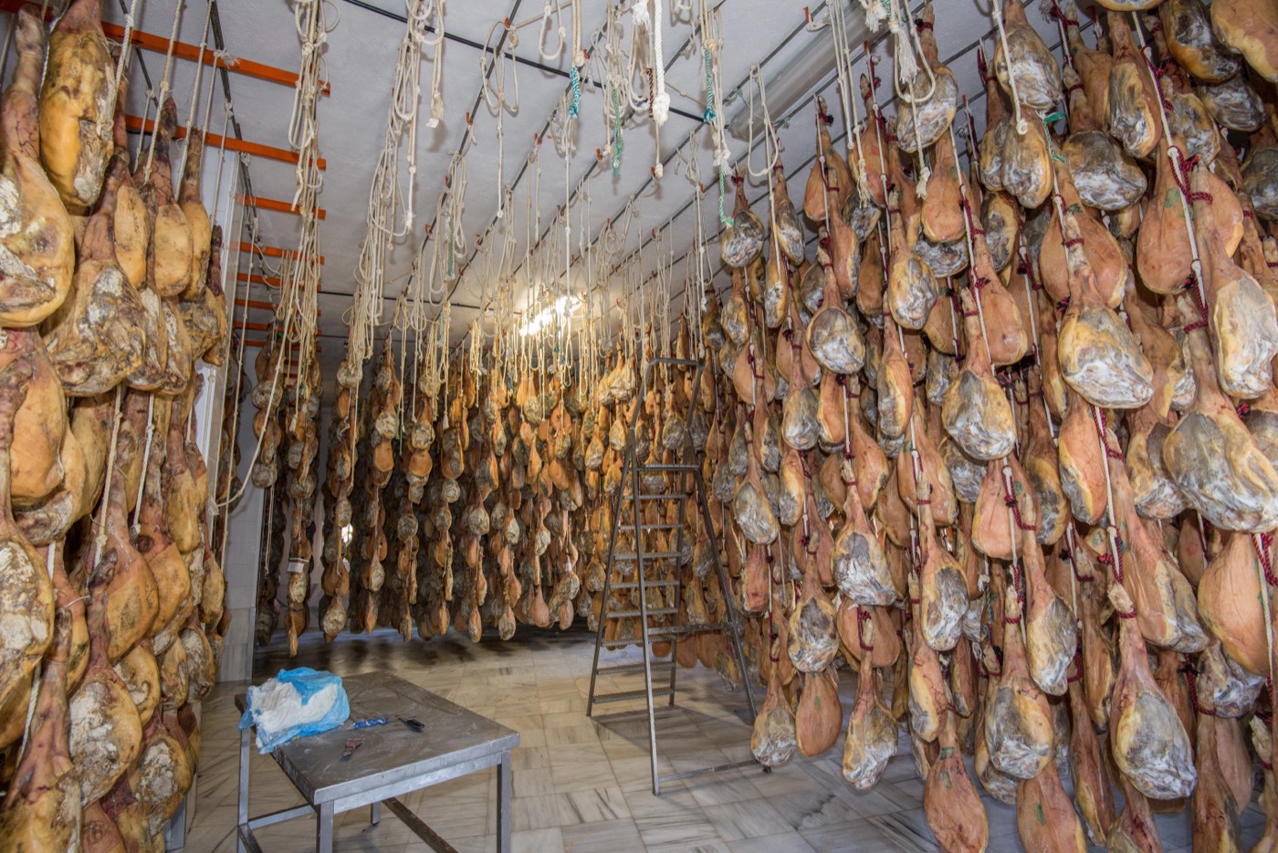 Sala de secado con jamones ibéricos colgados en cuerdas
